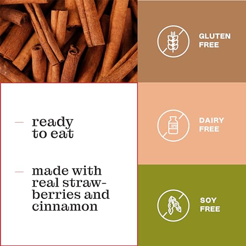 Katz Gluten Free Cinnamon Toaster Pastries, Nut Free