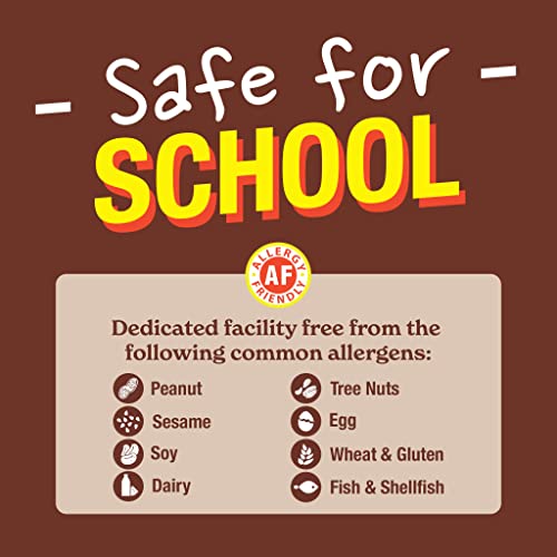 Gluten-Free Soft Baked Chocolate Chip Mini Cookies 30-Pack