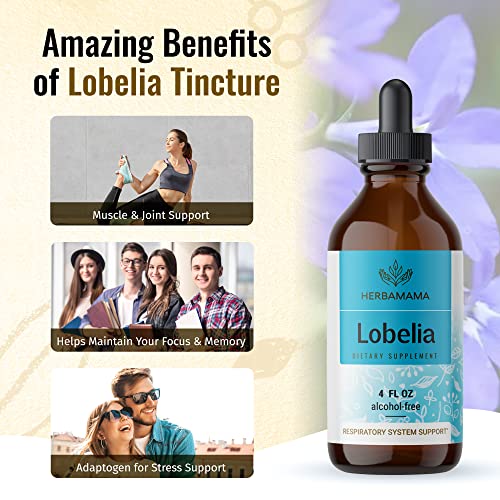 Organic Lobelia Tincture - Alcohol-Free - Vegan - 4oz
