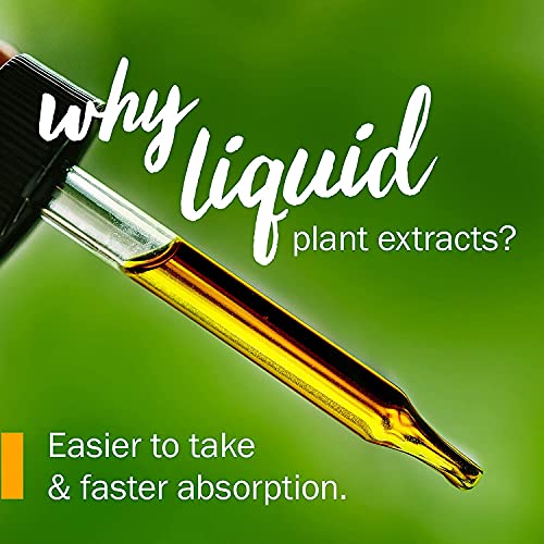 Certified Organic Lobelia Liquid Extract - 1 Ounce