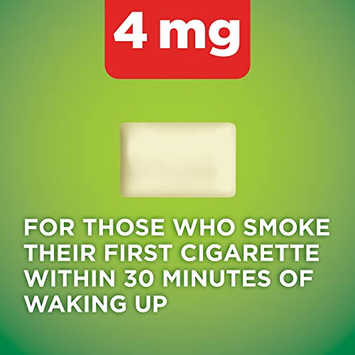 Basic Care Nicotine Gum 4mg, Mint Flavor, 220ct