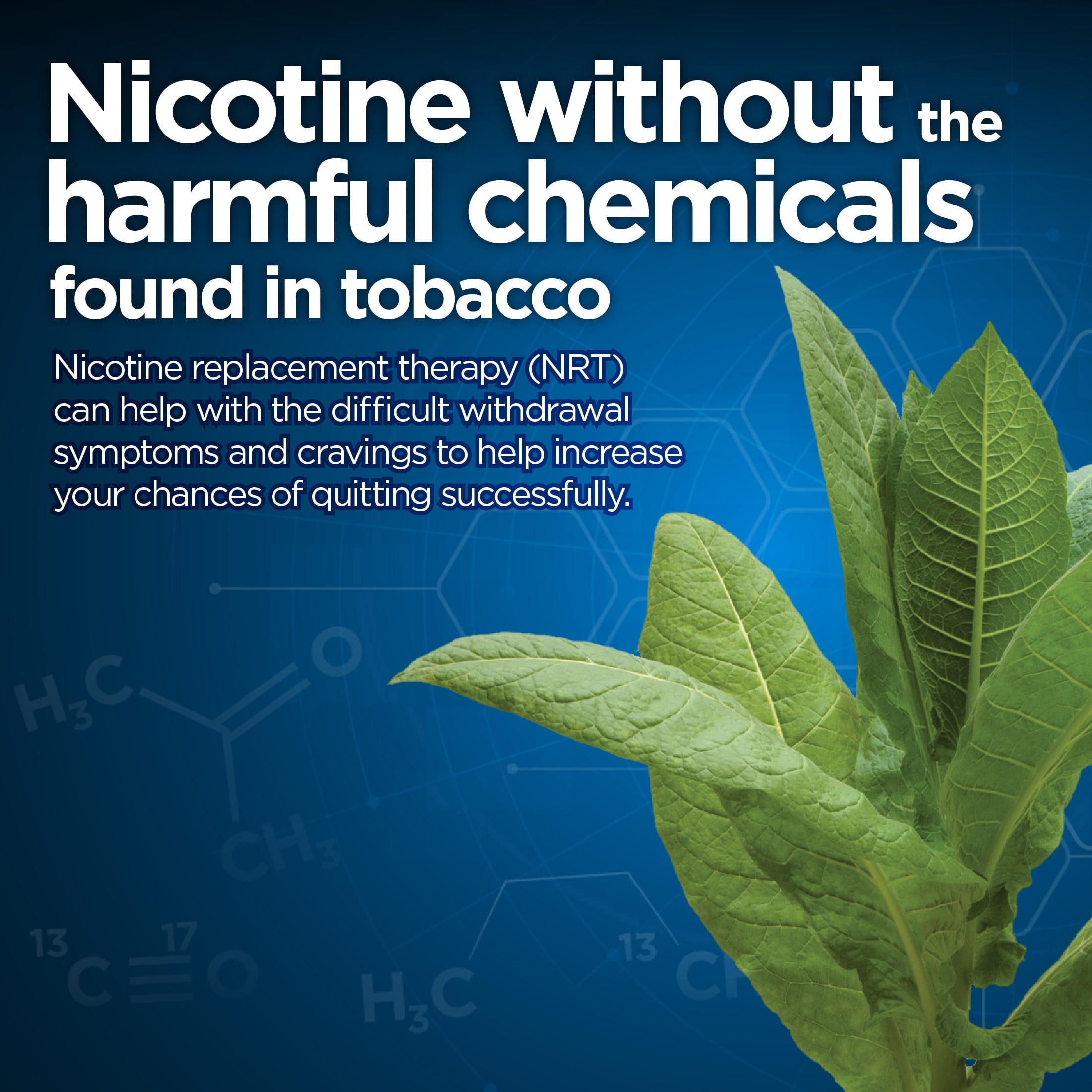 Equate Nicotine Gum 2 mg, Mint Flavor, 170 Count