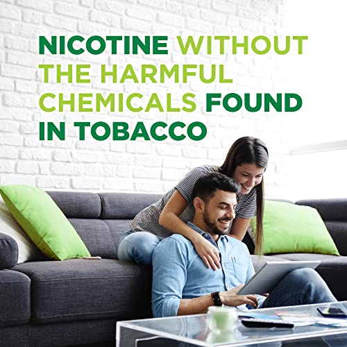 Basic Care Nicotine Gum 4mg, Mint Flavor, 220ct