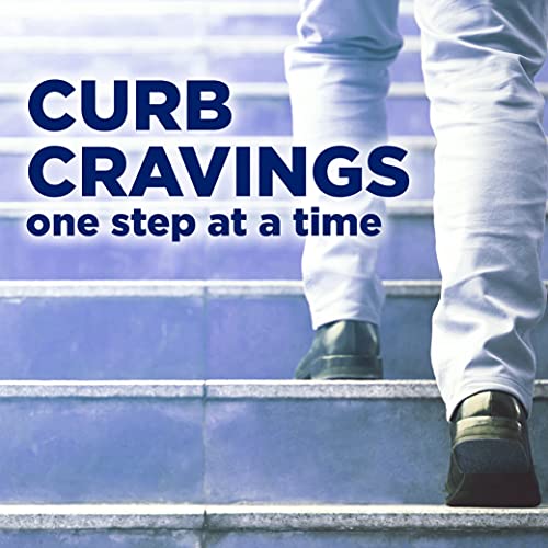 Ice Mint Coated Nicotine Gum, 160 Count