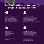 Calming Kava Capsules - Boost Mood & Relaxation