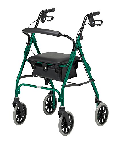 What's The Job Market For 3 Wheel Rollator Walker With Seat Professionals?