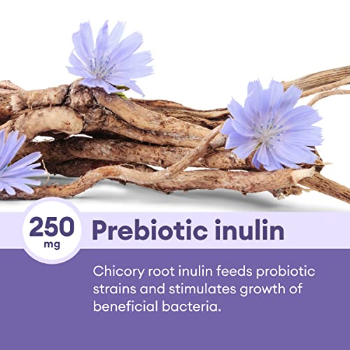 Prebiotic-Probiotic for Digestive Health - Physician's Choice