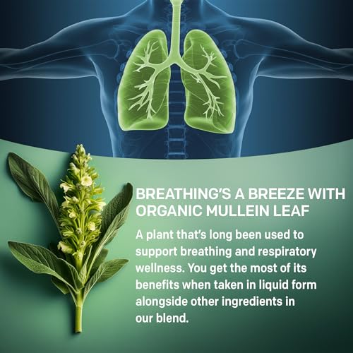 Mullein Lung Drops with Elderberry & Ginger Root: 60 Servings