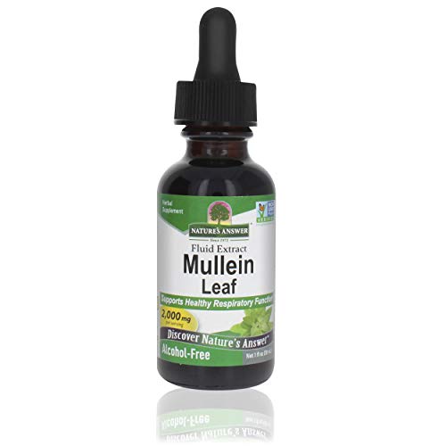 Alcohol-Free Mullein Leaf 1oz Extract | Respiratory Support