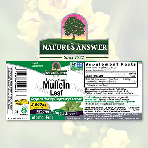 Alcohol-Free Mullein Leaf 1oz Extract | Respiratory Support