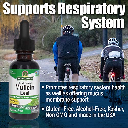 Alcohol-Free Mullein Leaf 1oz Extract | Respiratory Support