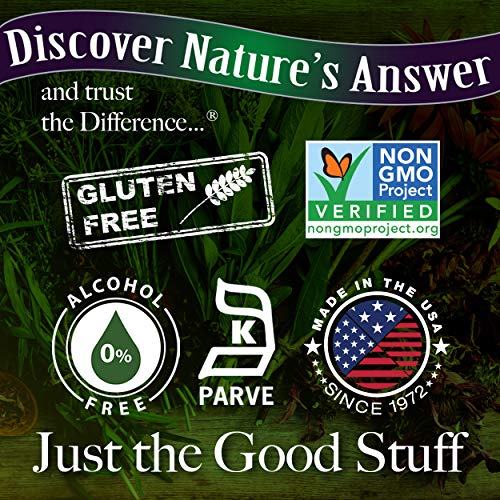 Alcohol-Free Mullein Leaf 1oz Extract | Respiratory Support