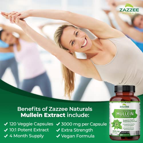 Zazzee Mullein 10X Extract 3000mg, 120 Capsules (4-Month)