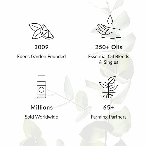 100% Pure Oregano Essential Oil 10ml