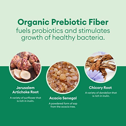 Probiotics for Weight Management & Bloating - 6 Strains