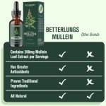 Mullein Leaf Extract for Better Lung Health - 1 Month