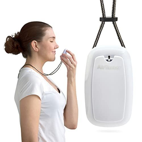 Personal Rechargeable and Portable Air Purifier