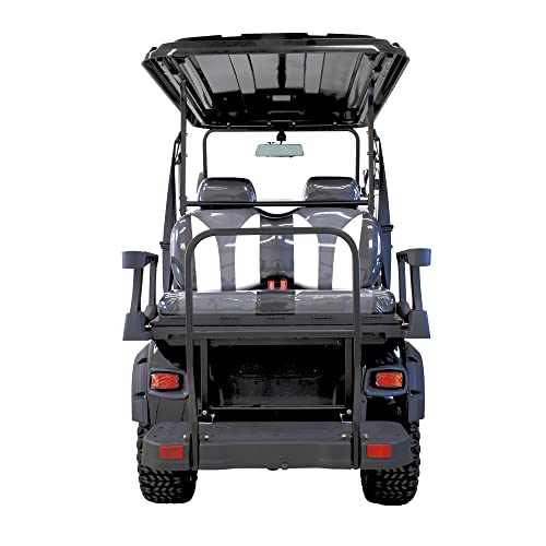 MASSIMO MOTOR Electric Golf Cart GMF2X | 4-Seater