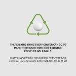 Kirkland Signature 12-Pack of Near Mint Golf Balls