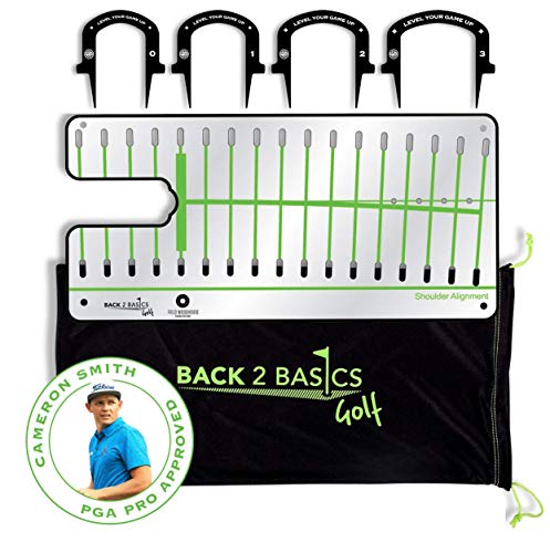 Basic Golf Pro Path Putting Mirror - Swing Alignment