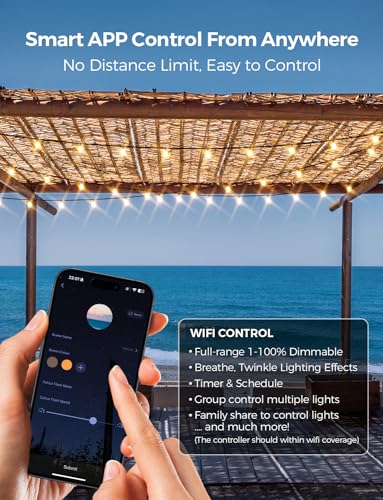 Smart Outdoor String Lights, 100Ft, Warm White, WiFi