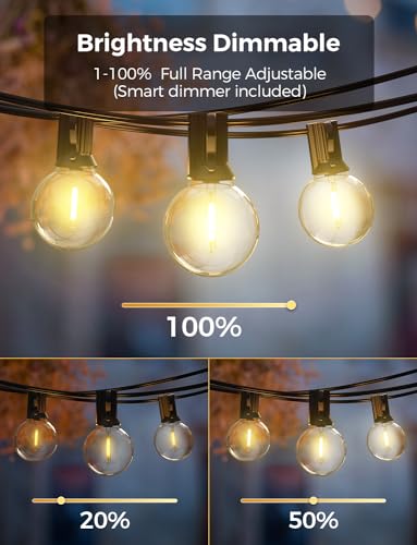 Smart Outdoor String Lights, 100Ft, Warm White, WiFi