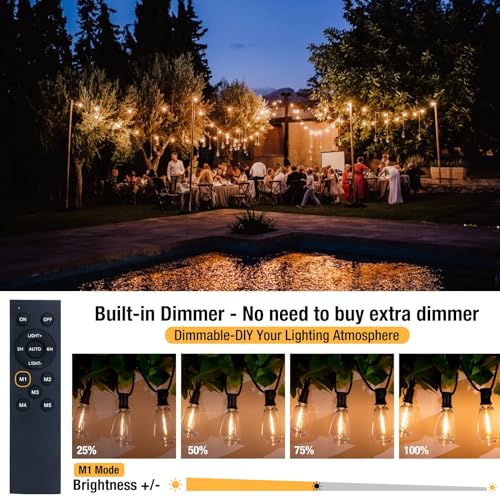 litogo LED Outdoor String Lights with Remote, Dimmable