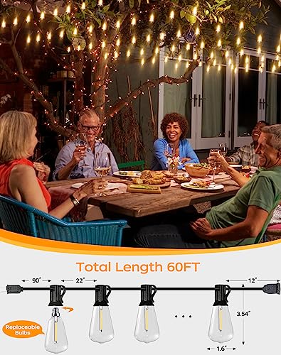PARTPHONER LED Outdoor String Lights, 60FT with Vintage Bulbs