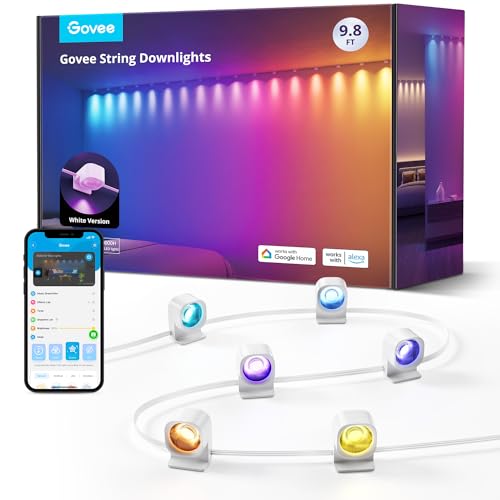 Govee RGBIC Smart LED String Lights for Party