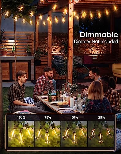 PARTPHONER LED Outdoor String Lights, 60FT with Vintage Bulbs
