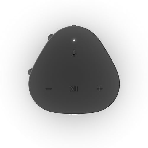 Black Sonos Roam Wireless Bluetooth Speaker