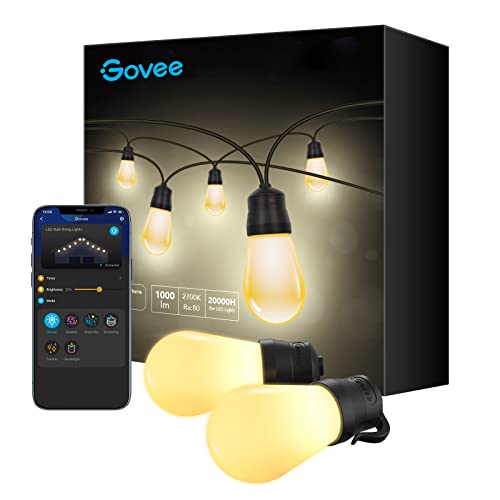Smart Outdoor String Lights with 15 Dimmable LED