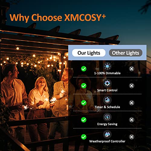 Smart Outdoor String Lights, 100Ft, Warm White, WiFi