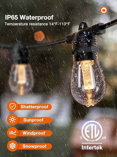 Addlon 48FT Outdoor String Lights with Remote Control