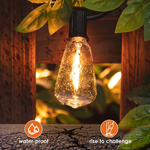 WENFENG 50FT Outdoor LED String Lights, ST38 Waterproof