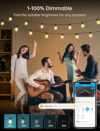 Smart Outdoor String Lights with 15 Dimmable LED
