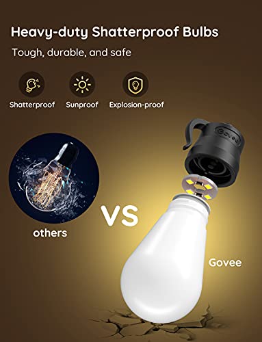 Smart Outdoor String Lights with 15 Dimmable LED