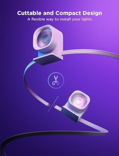 Govee RGBIC Smart LED String Lights for Party