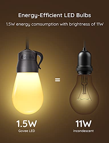 Smart Outdoor String Lights with 15 Dimmable LED