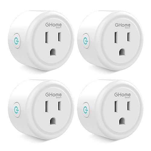 Smart Mini Plug: Works with Alexa and Google Home