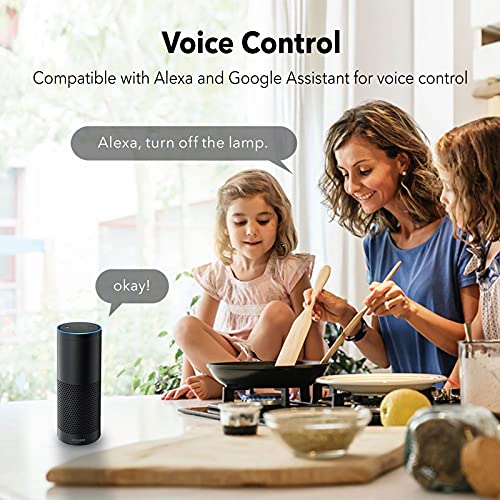 Smart Wi-Fi Plug Outlet, App Control, Alexa/G Assistant