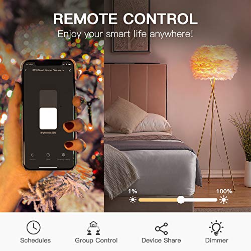Outdoor Smart Dimmer Plug for Alexa & Google Home