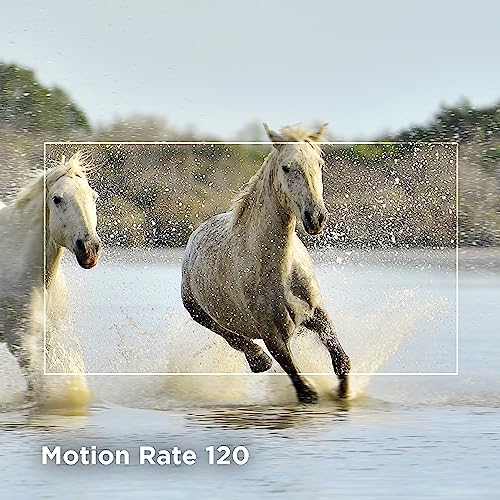 TCL 65" Class S4 4K LED Smart TV, Alexa, Airplay