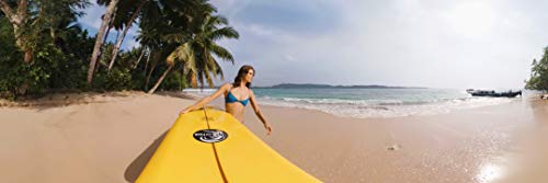 GoPro MAX - Waterproof 360 and Traditional Camera