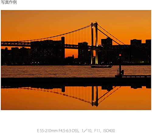 Sony E 55-210mm F4.5-6.3 Lens for E-Mount Cameras
