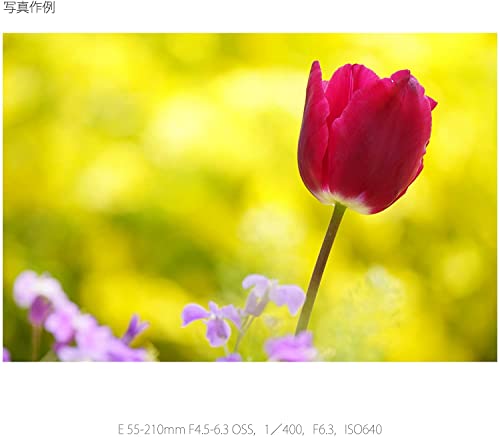 Sony E 55-210mm F4.5-6.3 Lens for E-Mount Cameras