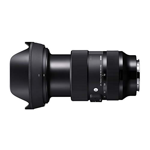 Sigma 24-70mm F2.8 DG DN Art Sony E Lens