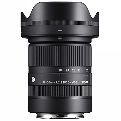 Sony E Black 18-50mm F2.8 Contemporary Camera Lens