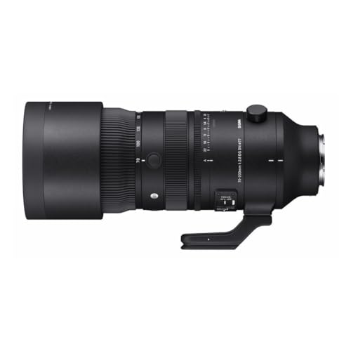Sony 70-200mm F2.8 DG DN OS Lens