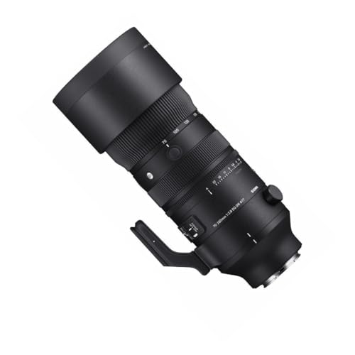 Sony 70-200mm F2.8 DG DN OS Lens